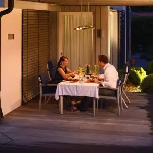 Carbon Heizstrahler Heat Tube doppelt mit LED Lampe