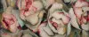 Bildheizung mit Rosen Art by Anna Amrhein