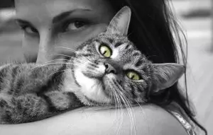 Tiermotiv Bildheizung