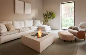 Base Ethanol Feuerstelle von EcoSmart