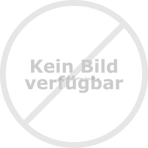 Seitenflanke Falo-Evo Gasheizstrahler (manuell)