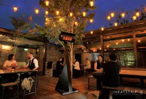 Heatstrip®  Gasheizstrahler Standmodell