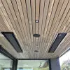 Heatstrip Design & Remote 3200 Watt in schwarz